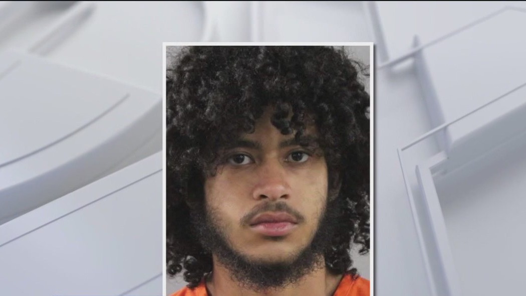 Haines City man charged in stabbing deaths of dogs